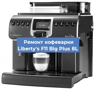 Чистка кофемашины Liberty's F11 Big Plus 8L от накипи в Новосибирске